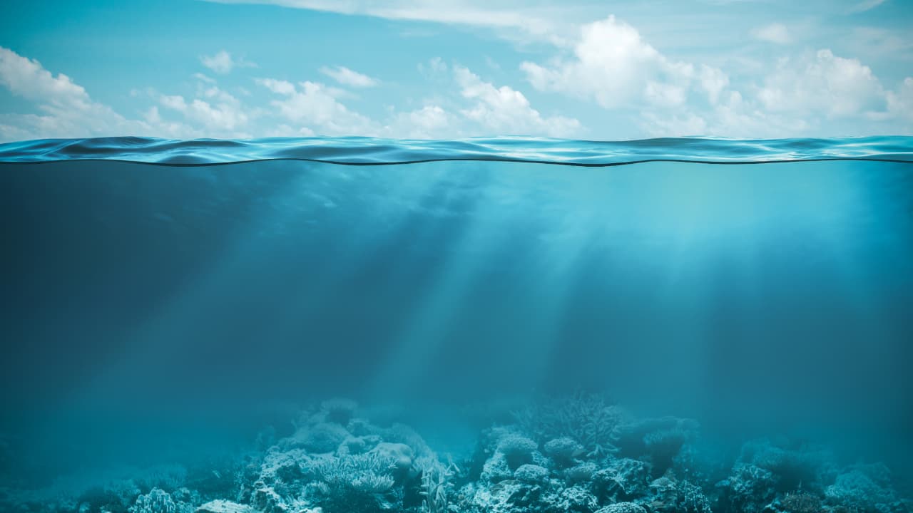 The Ocean’s Carbon Storage Capacity May Be Overestimated