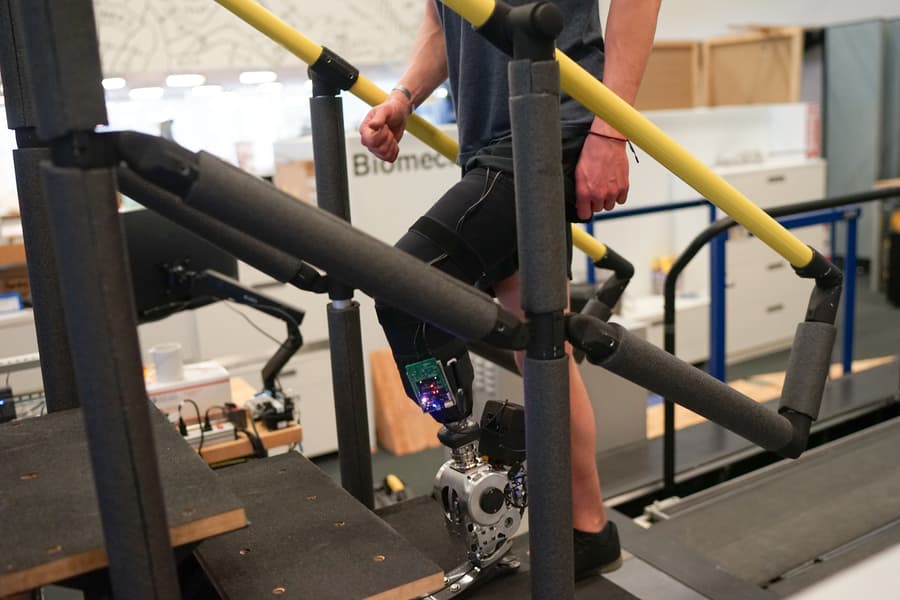 A Natural Gait: Prosthesis Driven by Nervous System Allows for Near-Natural Walking