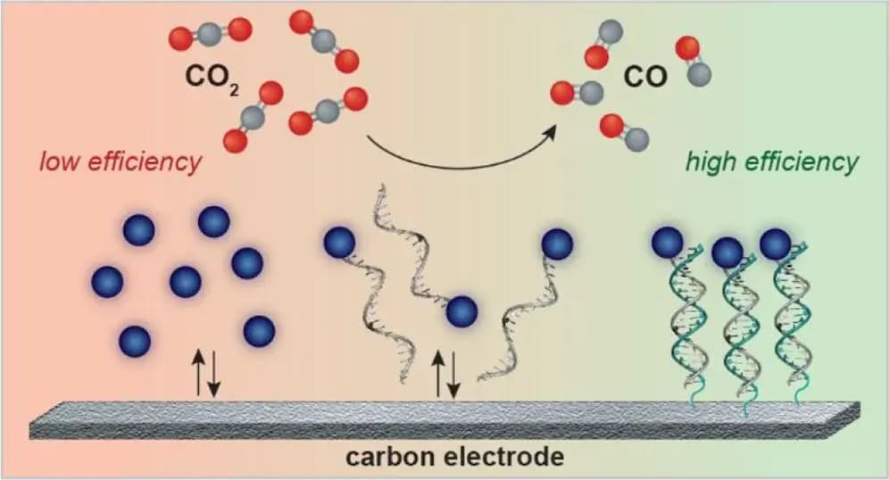Catalysts tethered by DNA convert carbon dioxide into useful products